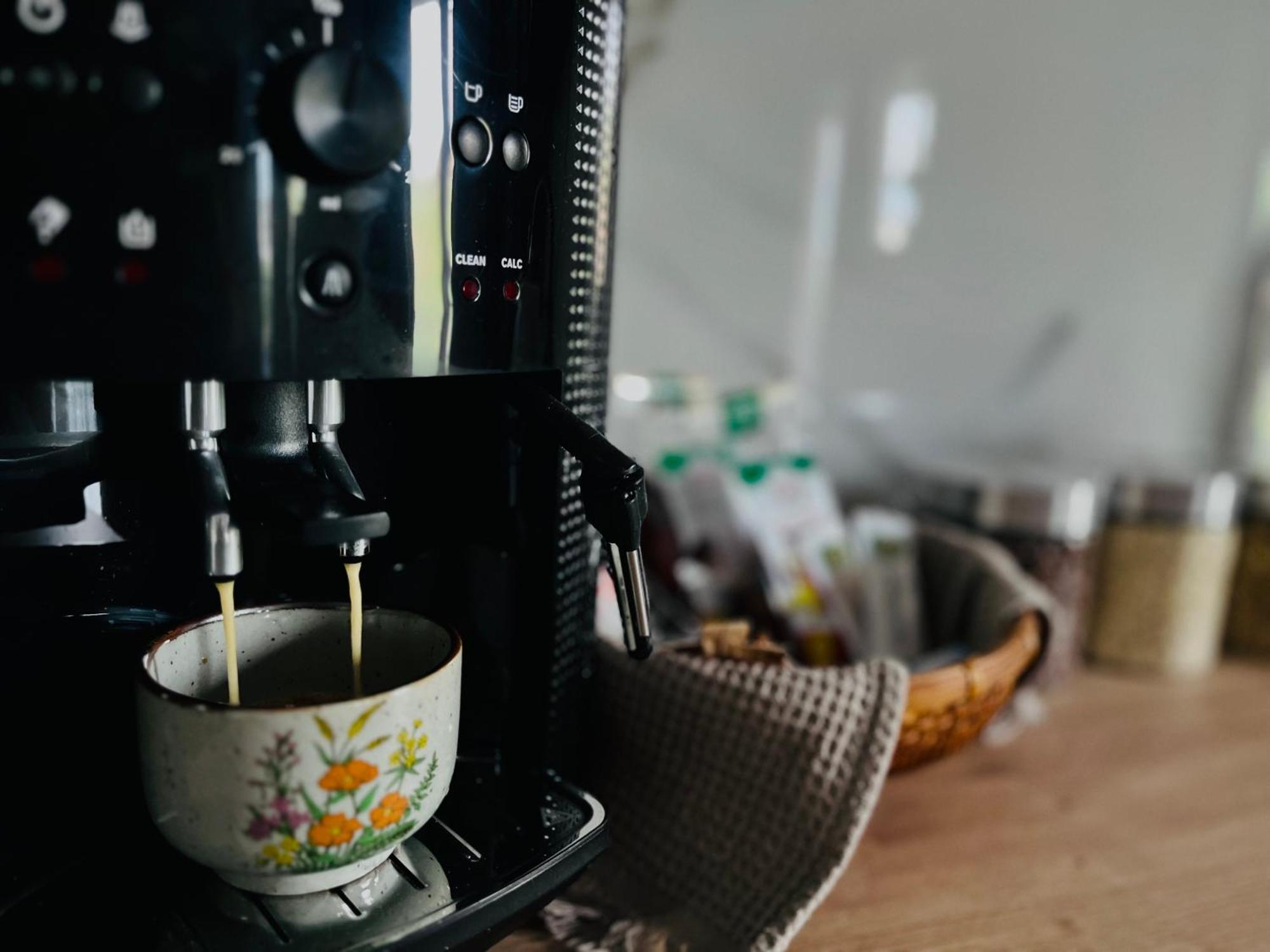 Apartament Studio Bian Timişoara Eksteriør bilde