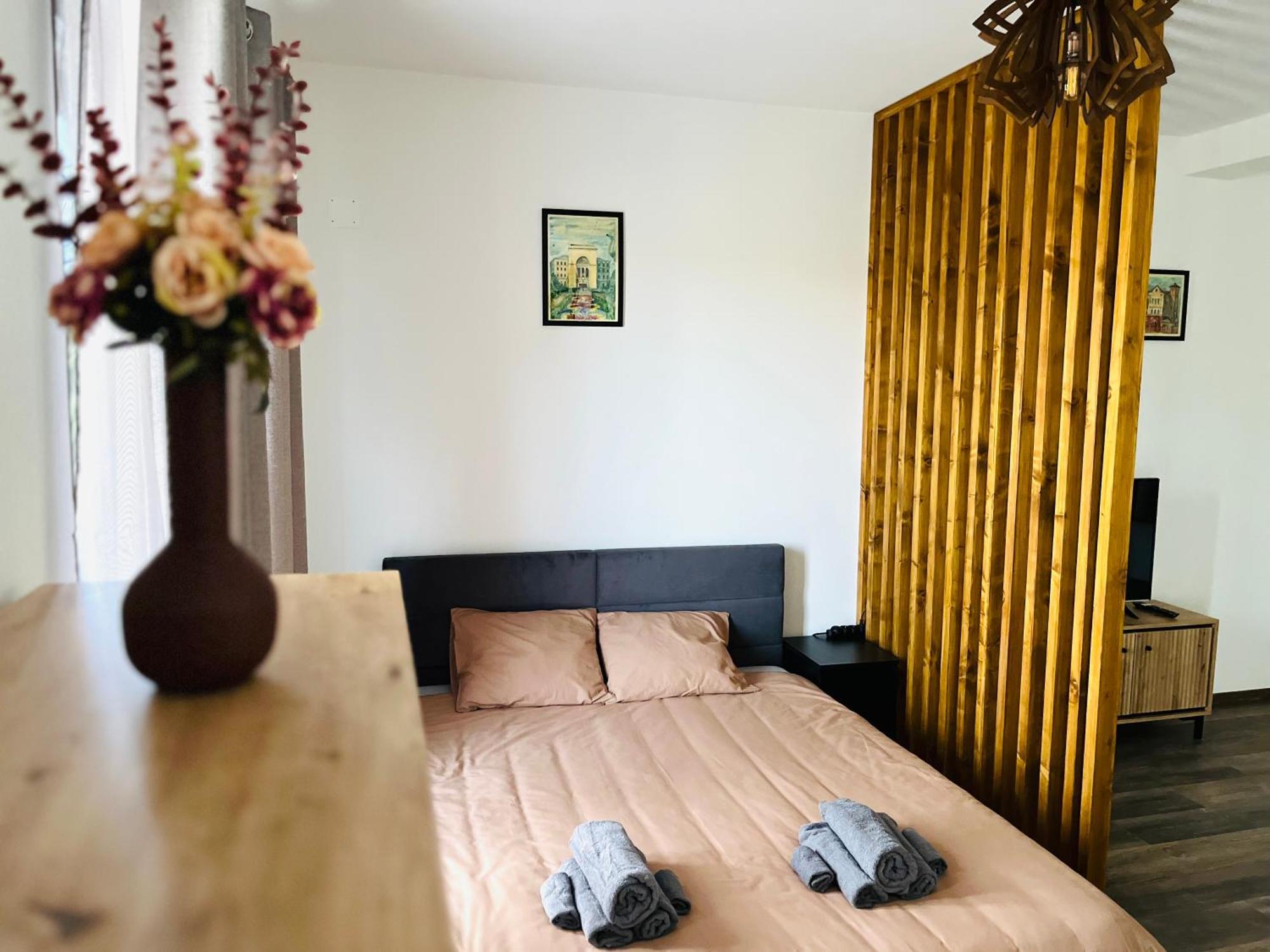 Apartament Studio Bian Timişoara Eksteriør bilde