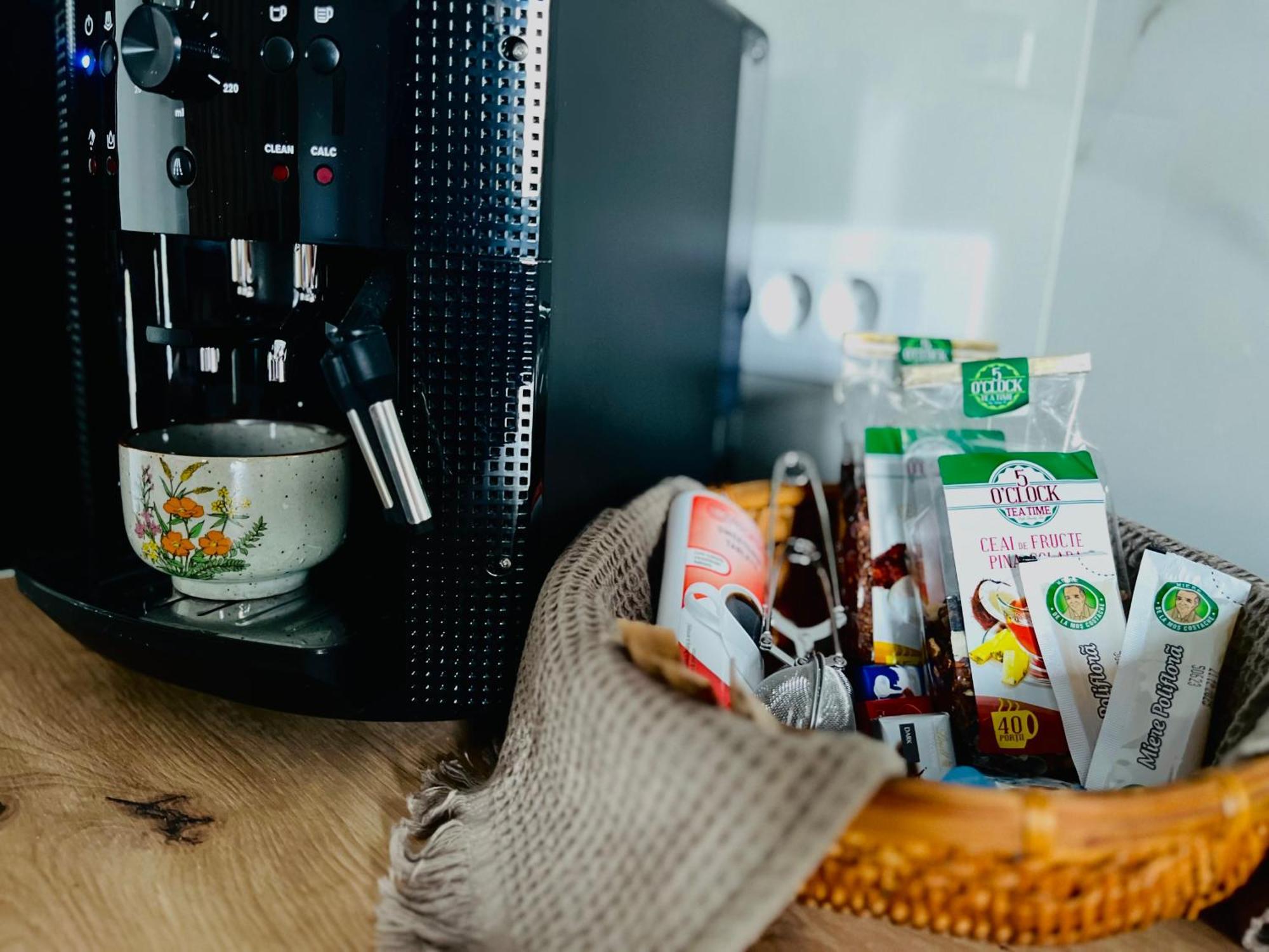 Apartament Studio Bian Timişoara Eksteriør bilde